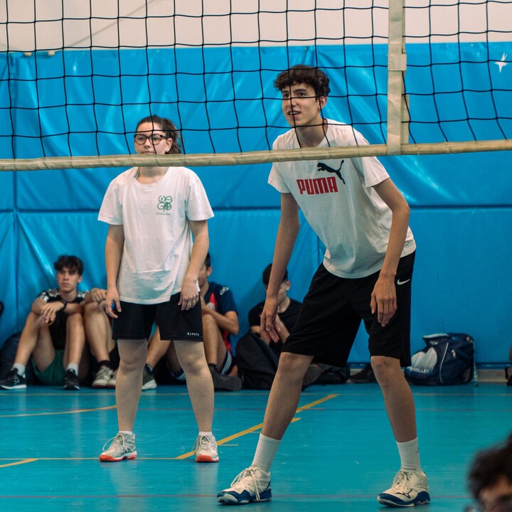 Torneo di Pallavolo